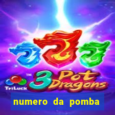 numero da pomba jogo do bicho